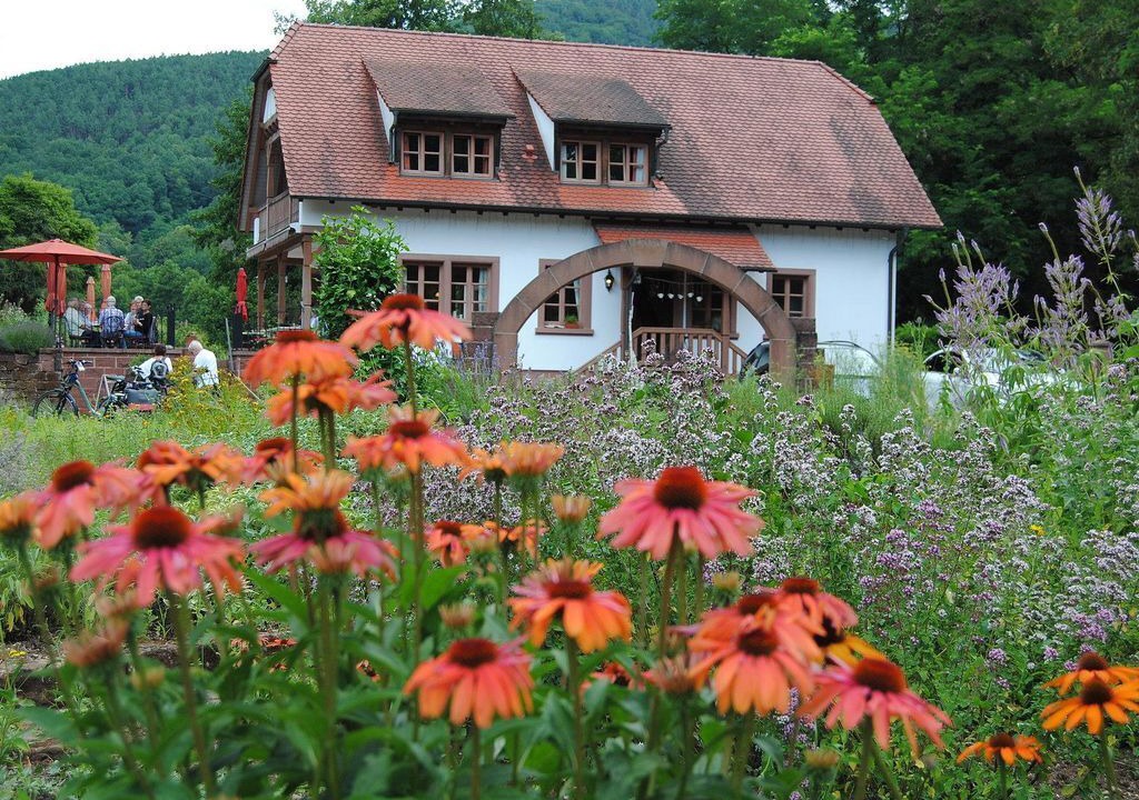 Photo of Outdoor in Wissembourg