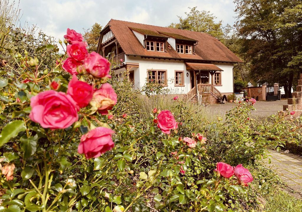 Photo of Outdoor in Wissembourg
