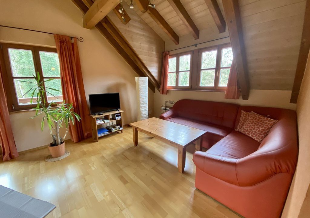 Photo of Livingroom in Wissembourg