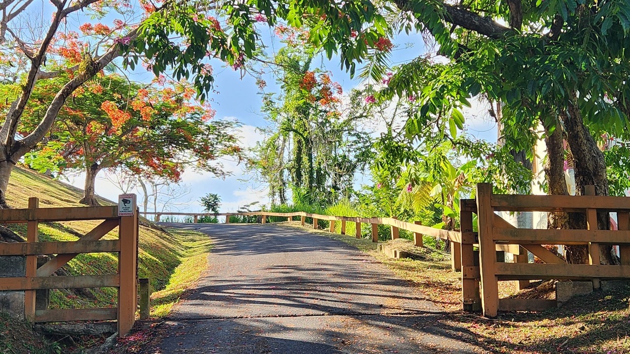 Photo of Outdoor in Cerro Gordo