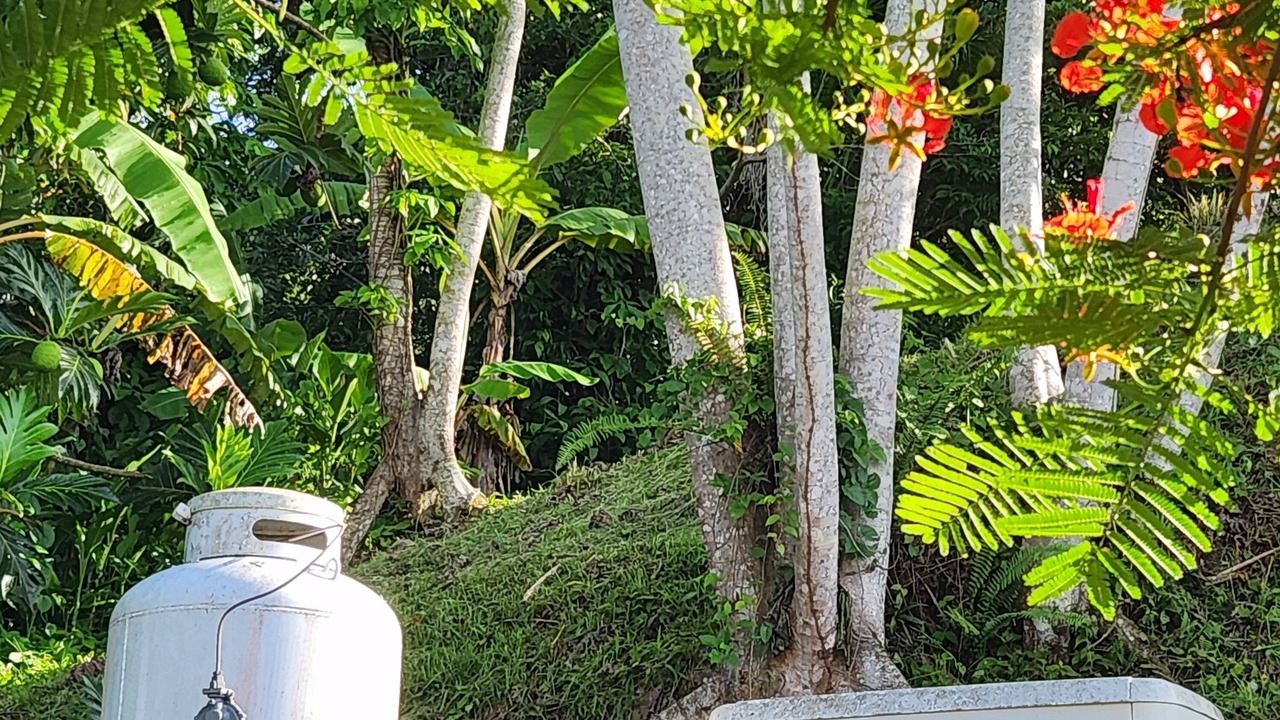 Photo of Outdoor in Cerro Gordo