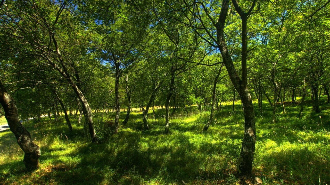 Photo of Others in Hrastovlje