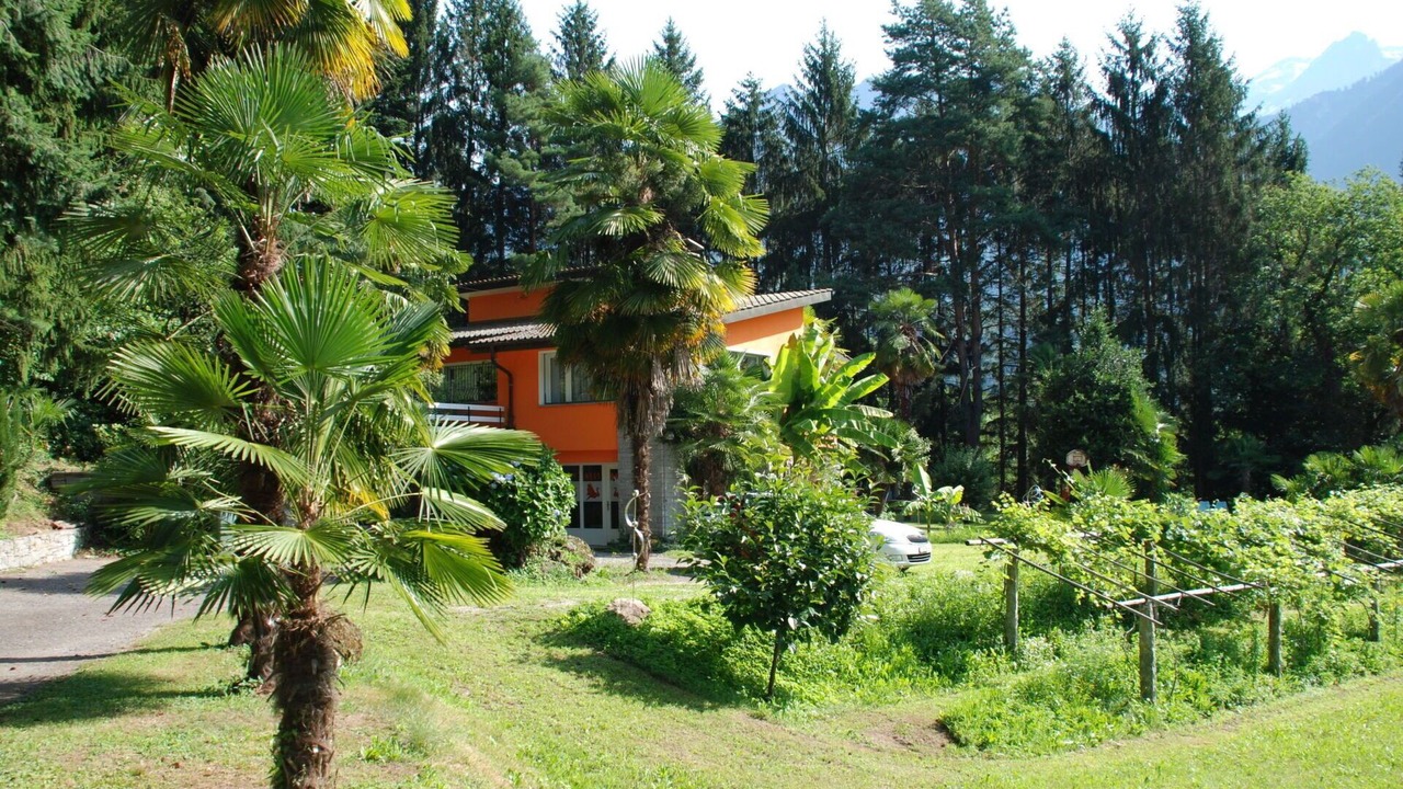 Photo of Others in Negrentino