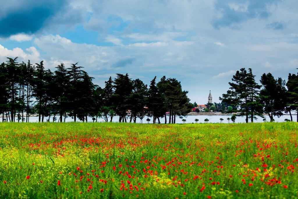 Photo of Outdoor in Postojna