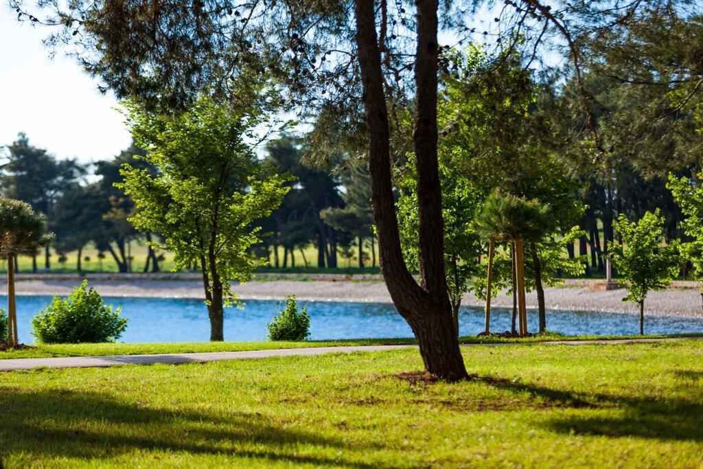 Photo of Outdoor in Postojna