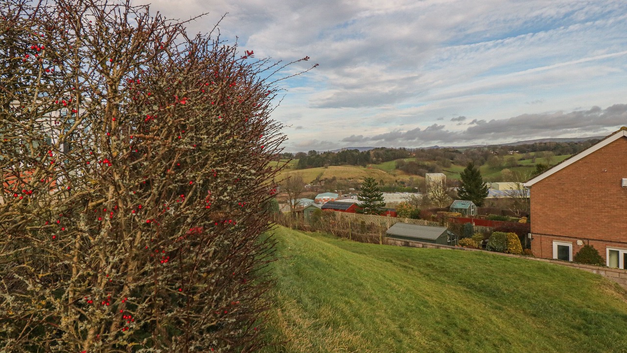 Photo of Outdoor in Leek