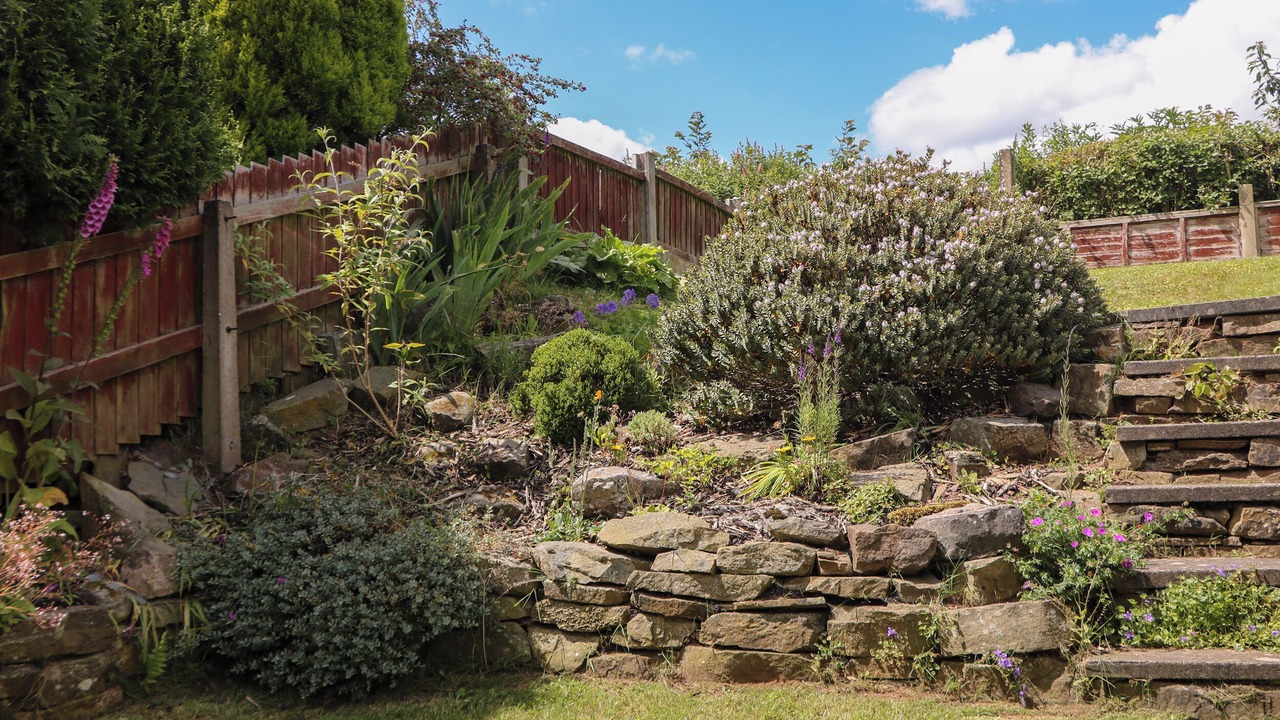 Photo of Outdoor in Leek