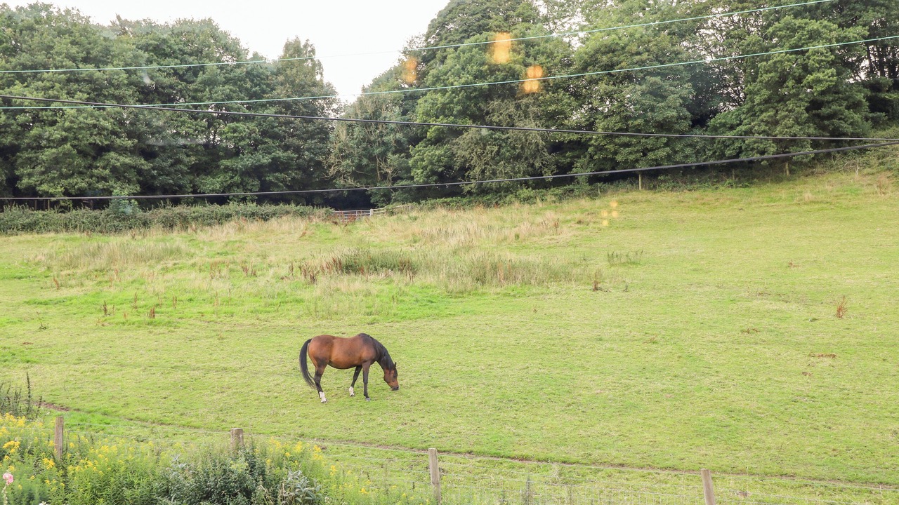 Photo of Outdoor in Foxt