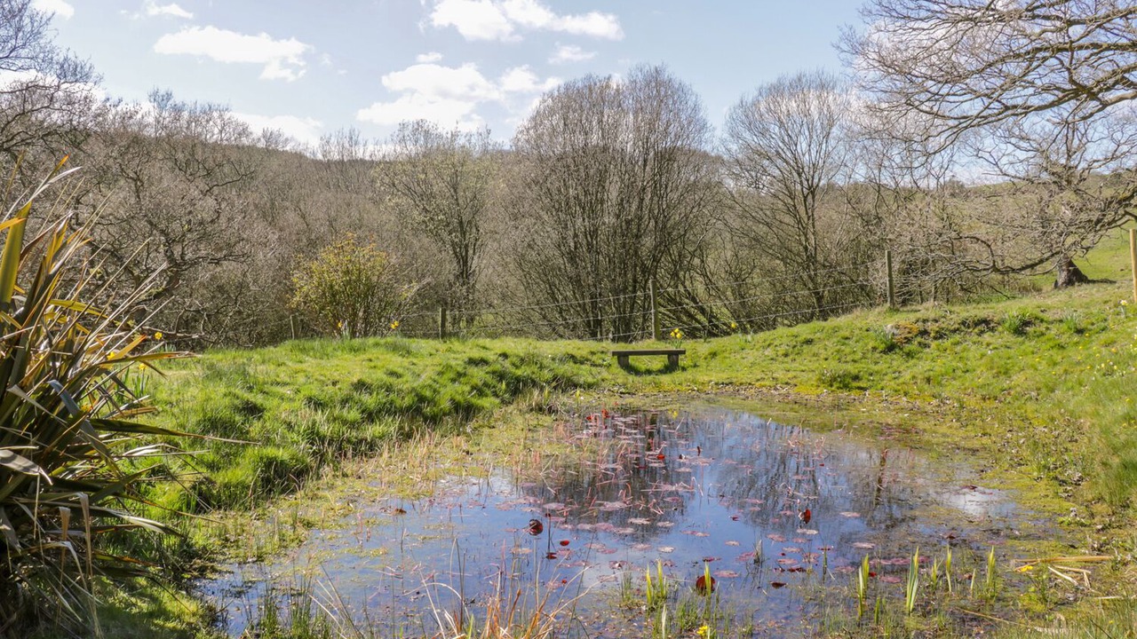 Photo of Outdoor in Staintondale