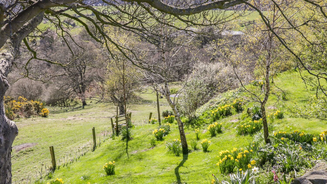 Photo of Outdoor in Staintondale