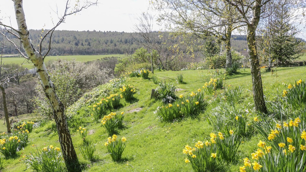 Photo of Outdoor in Staintondale