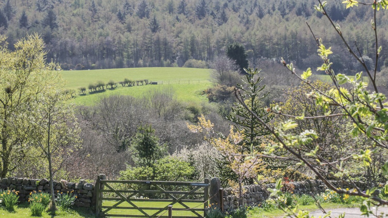 Photo of Outdoor in Staintondale