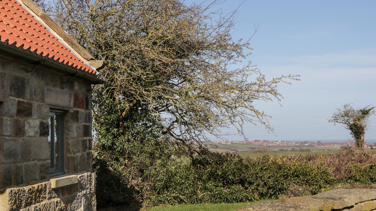 Photo of Outdoor in Briggswath