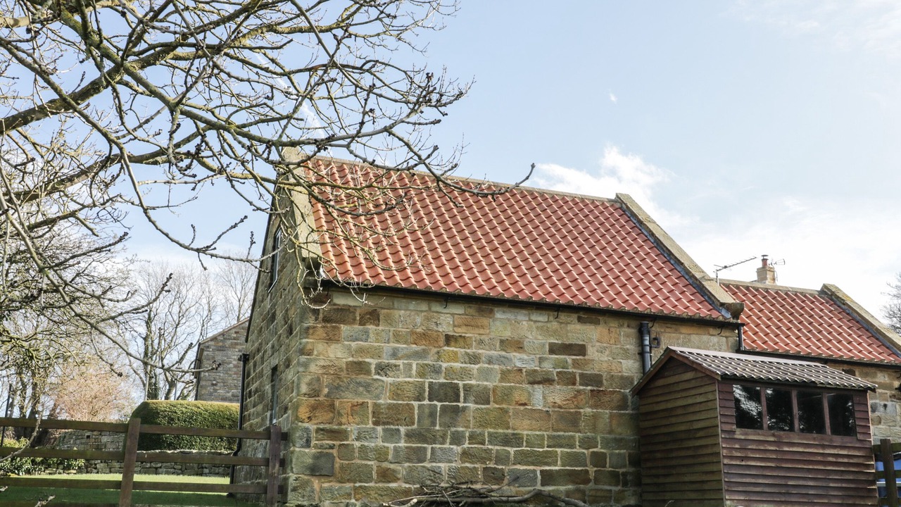 Photo of Outdoor in Briggswath