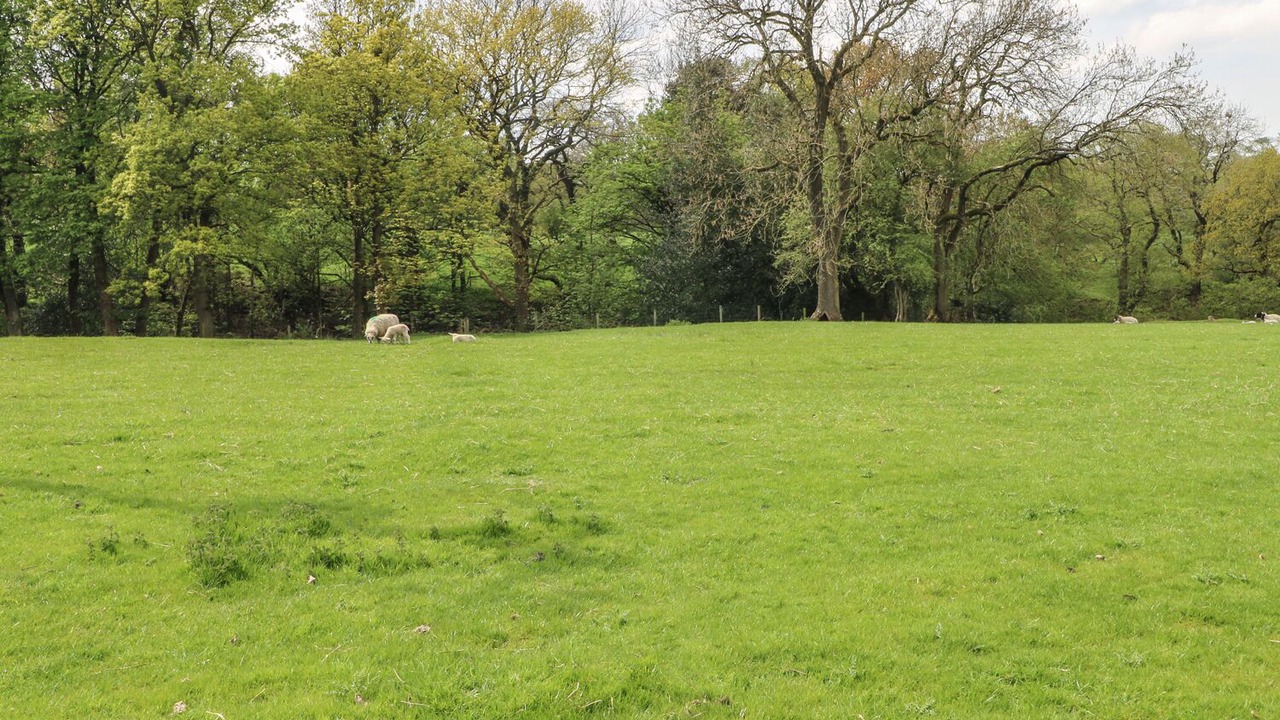 Photo of Others in Longnor