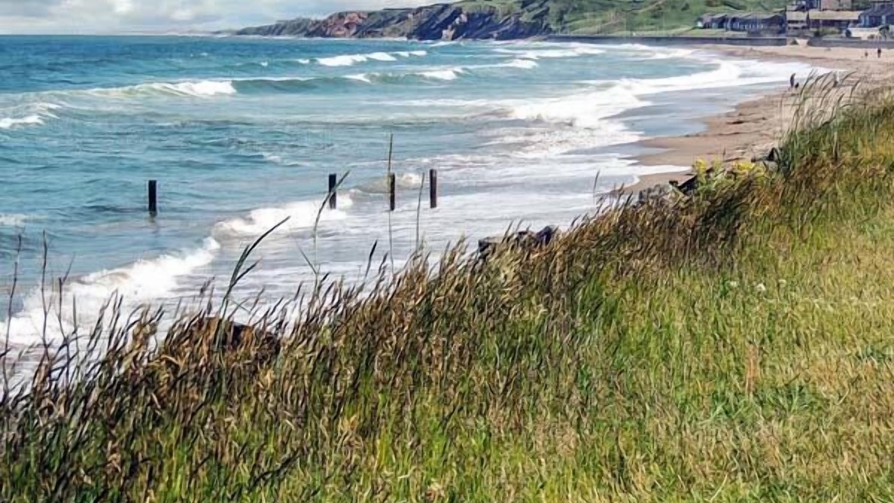 Photo of Others in Tweedmouth