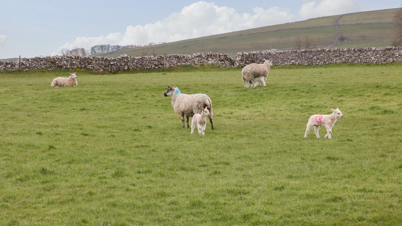 Photo of Others in Newton Grange