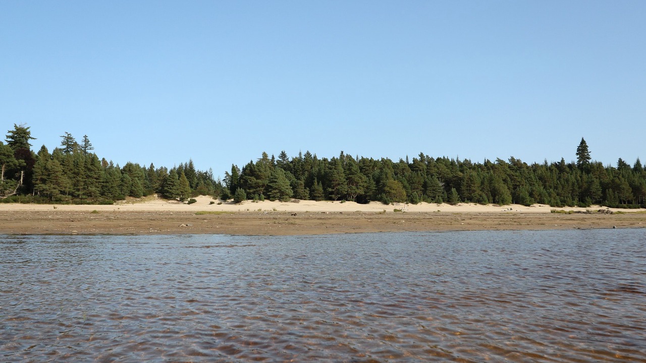 Photo of Others in Kinlochlaggan