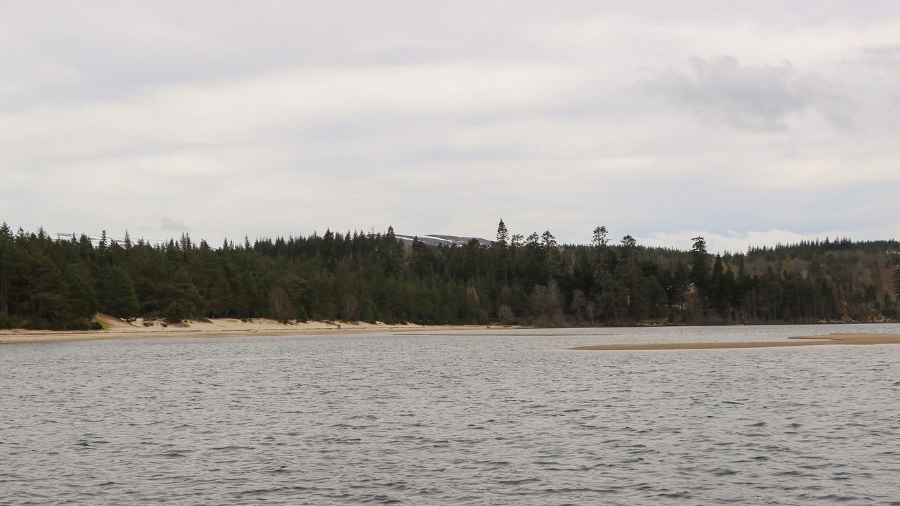 Photo of Others in Kinlochlaggan
