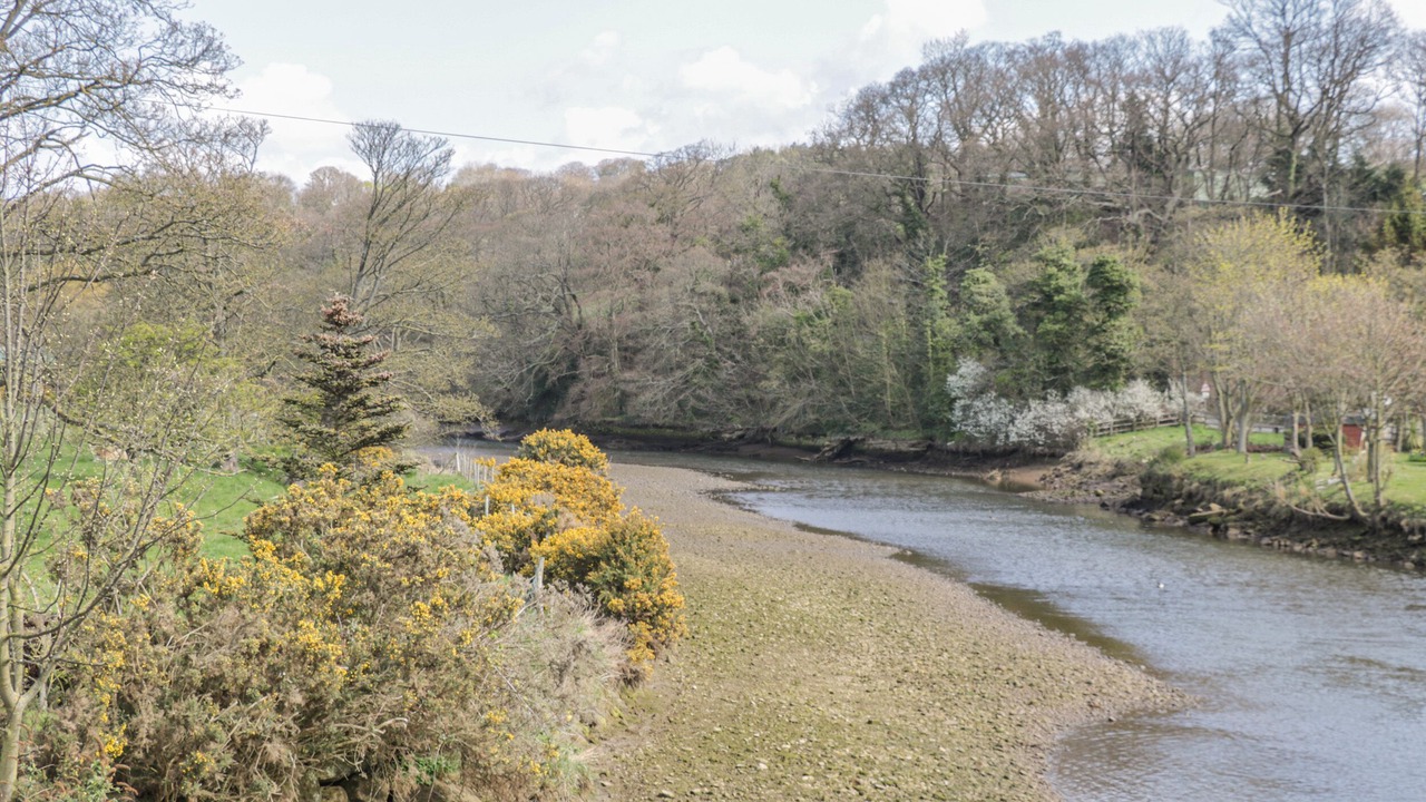 Photo of Outdoor in Ruswarp