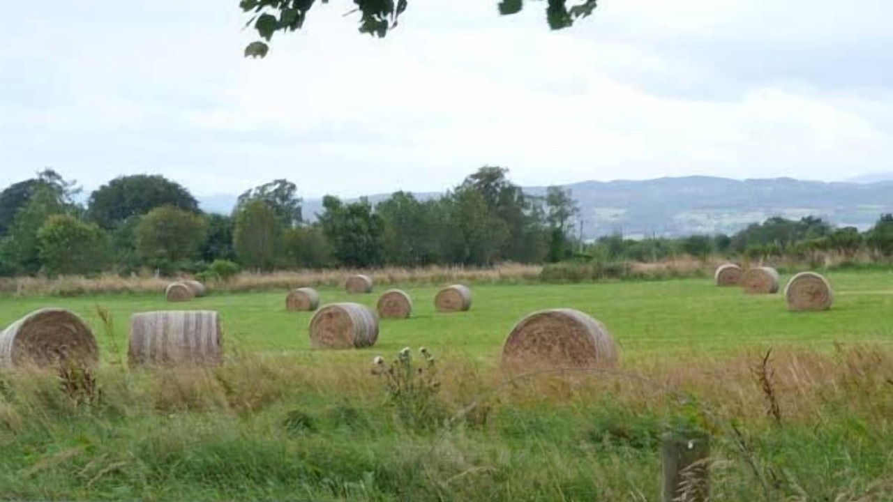 Photo of Outdoor in Marybank