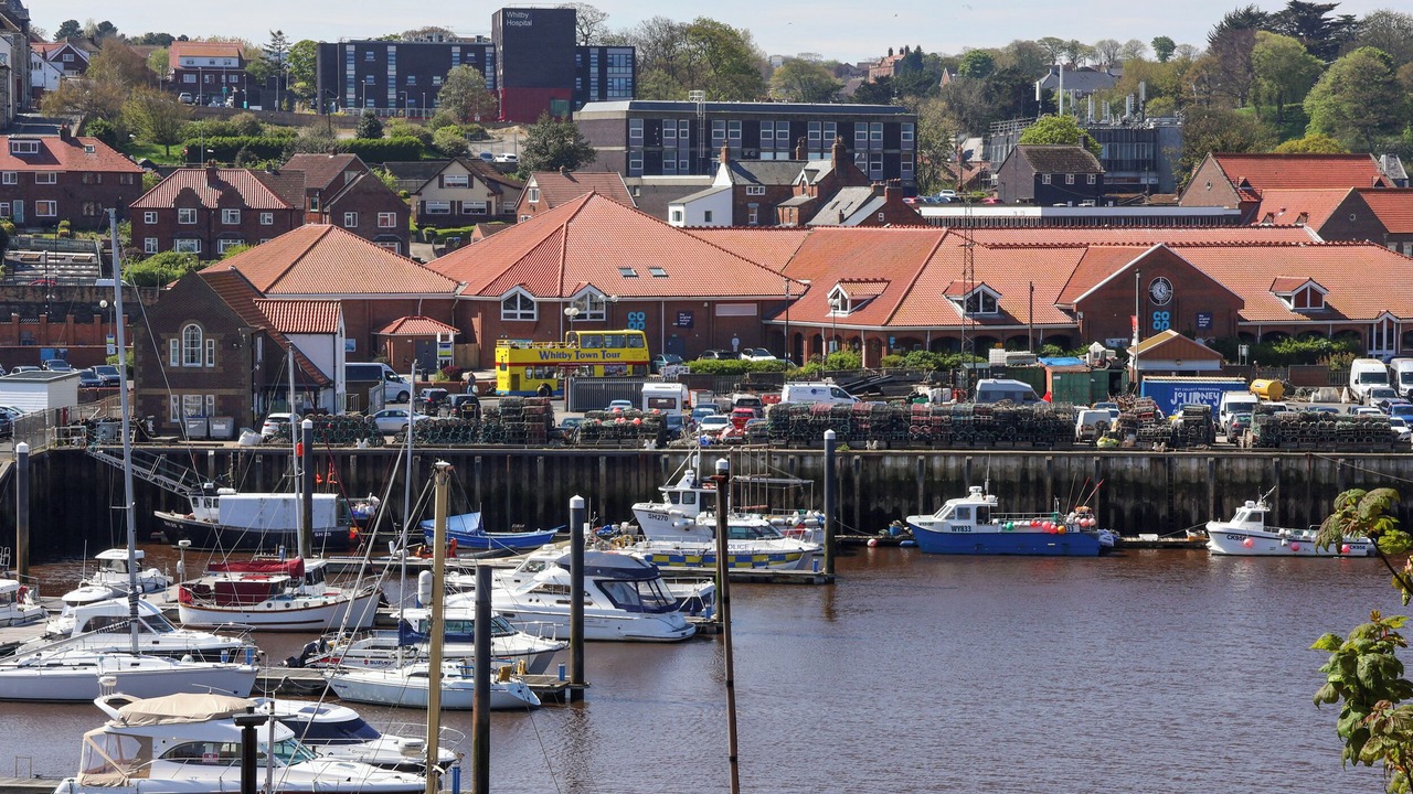 Photo of Others in Whitby