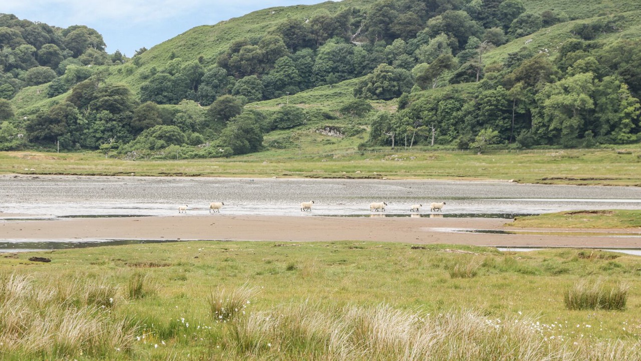Photo of Others in Cairnbaan