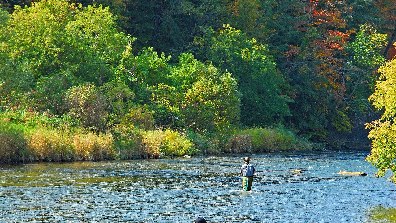 Photo of Others in Spokane