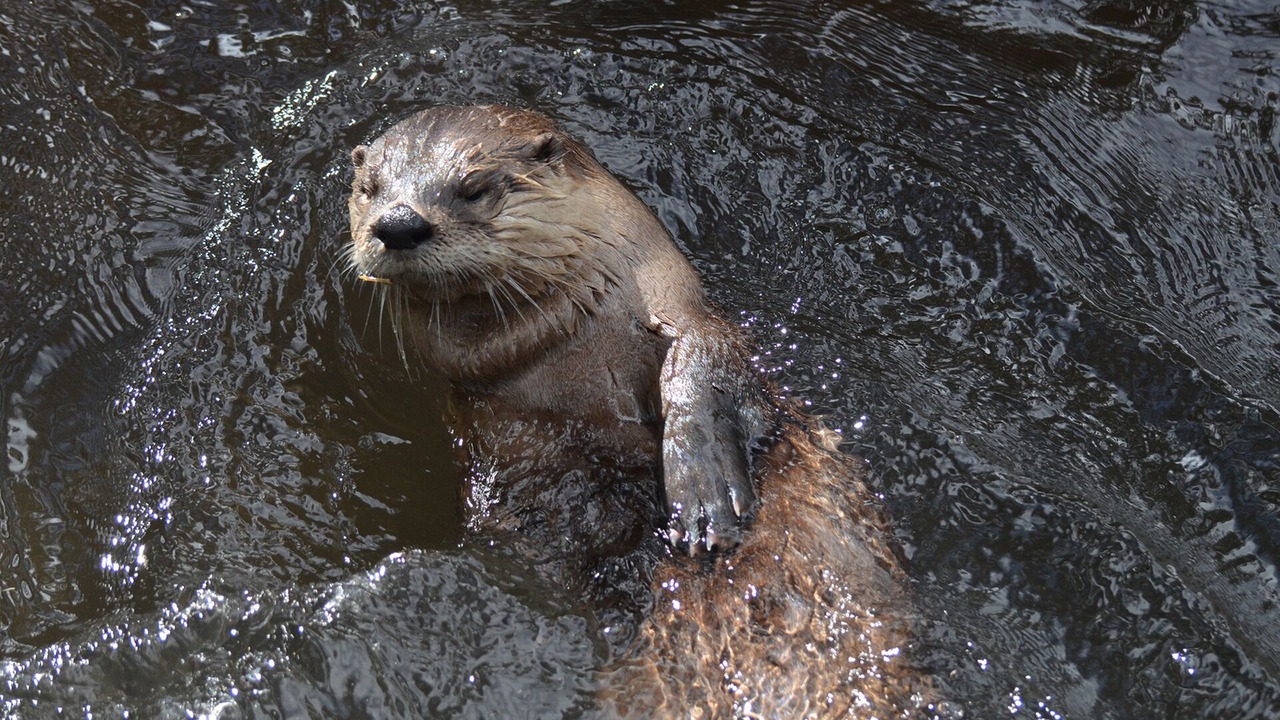 Photo of Others in Spokane