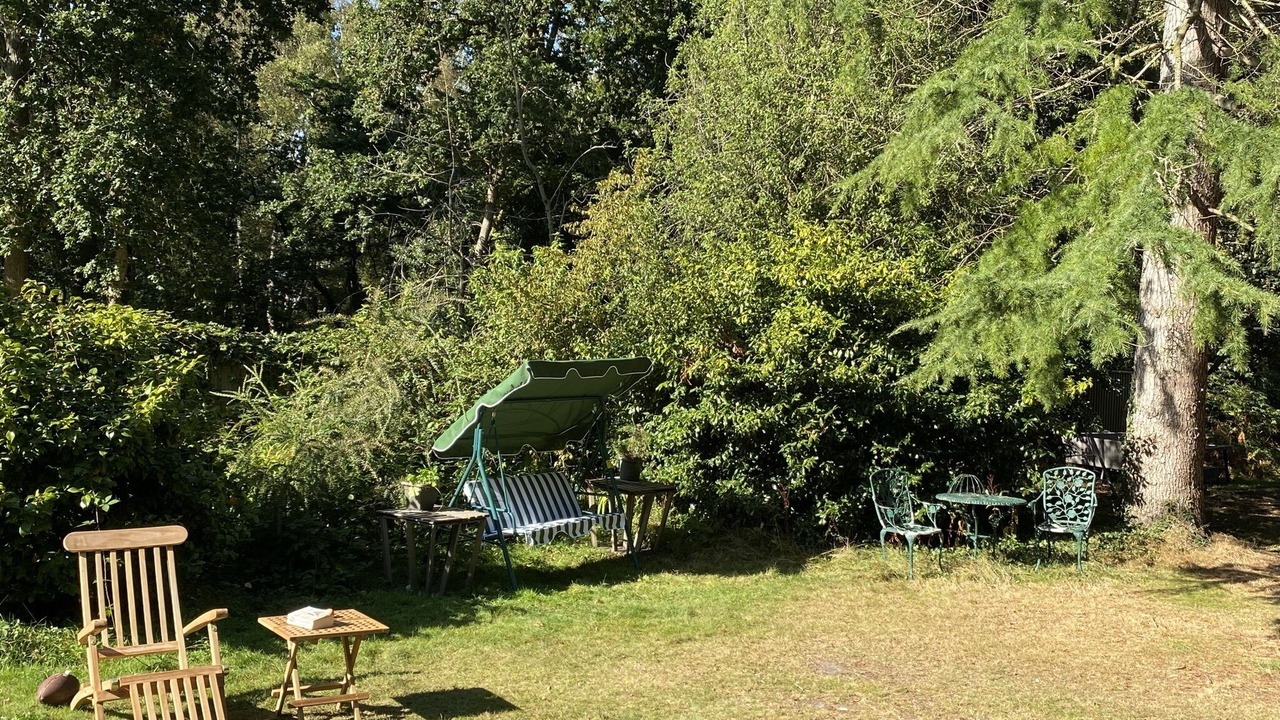 Photo of Outdoor in New Forest District