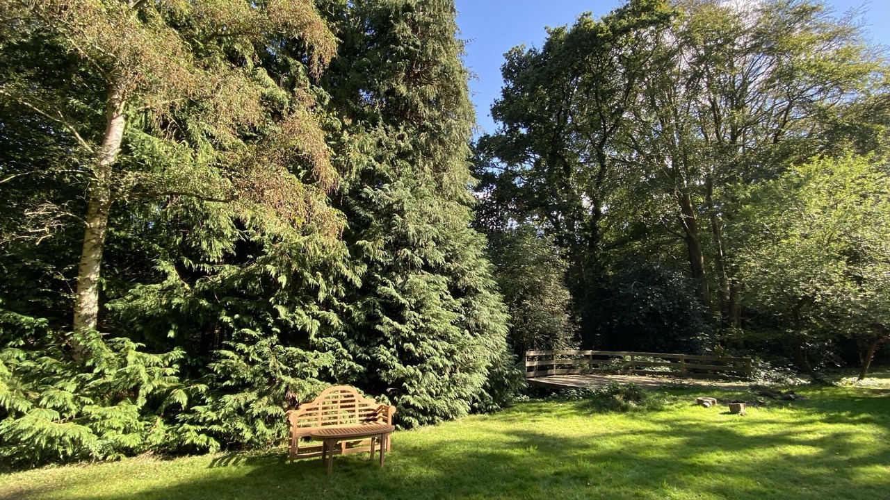 Photo of Outdoor in New Forest District