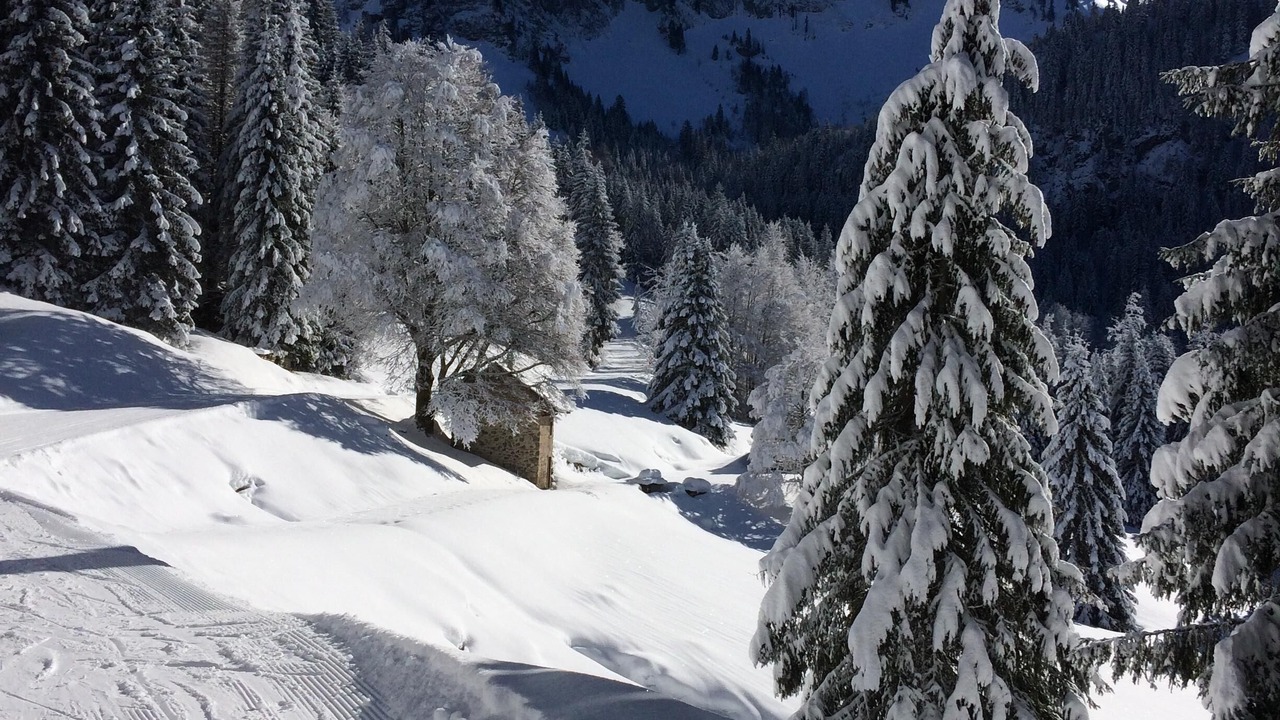 Photo of Others in Saint-Jean-dʼAulps