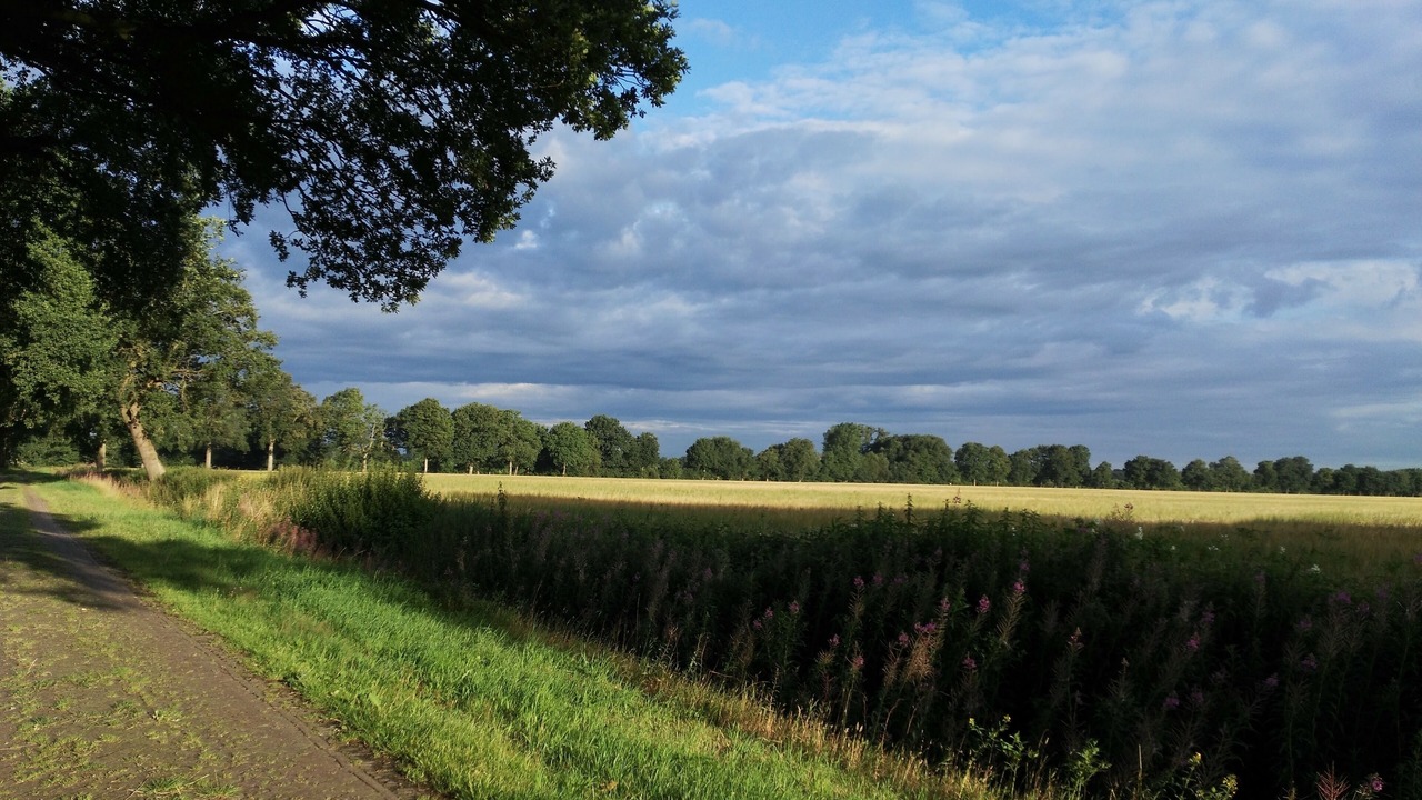 Photo of Others in Benneveld