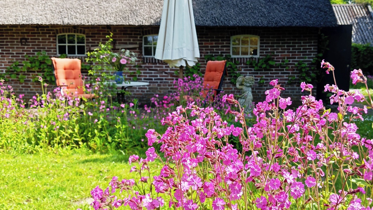 Photo of Outdoor in Benneveld