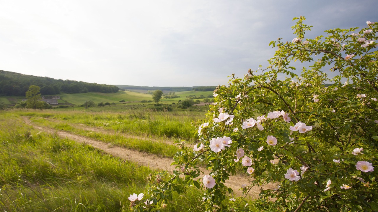 Photo of Outdoor in Irota
