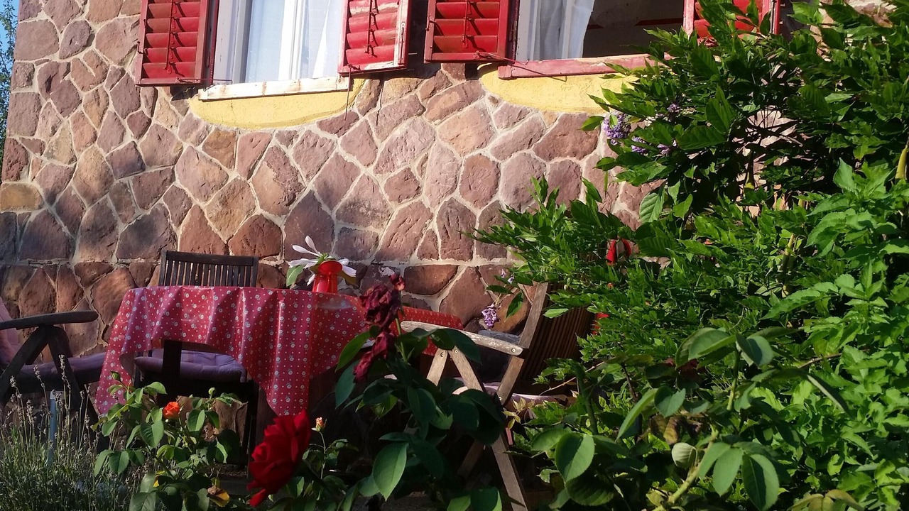 Photo of Outdoor in Fonyod