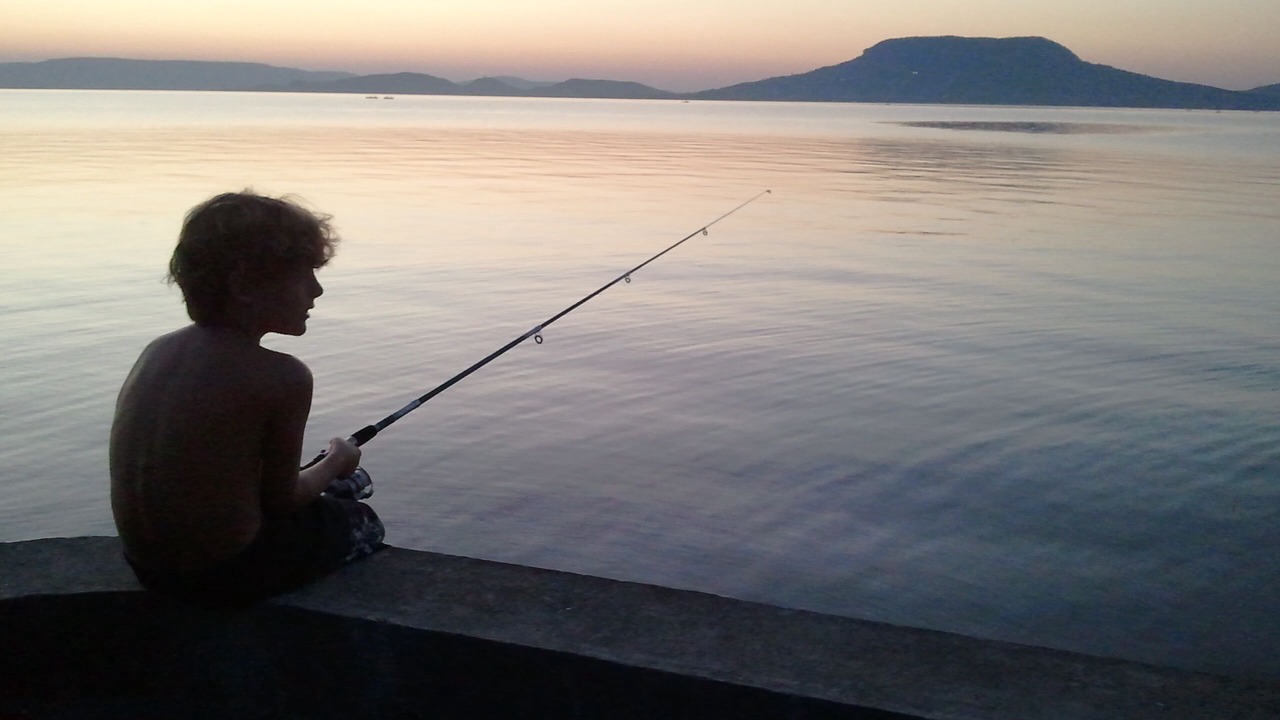 Photo of Others in Fonyod