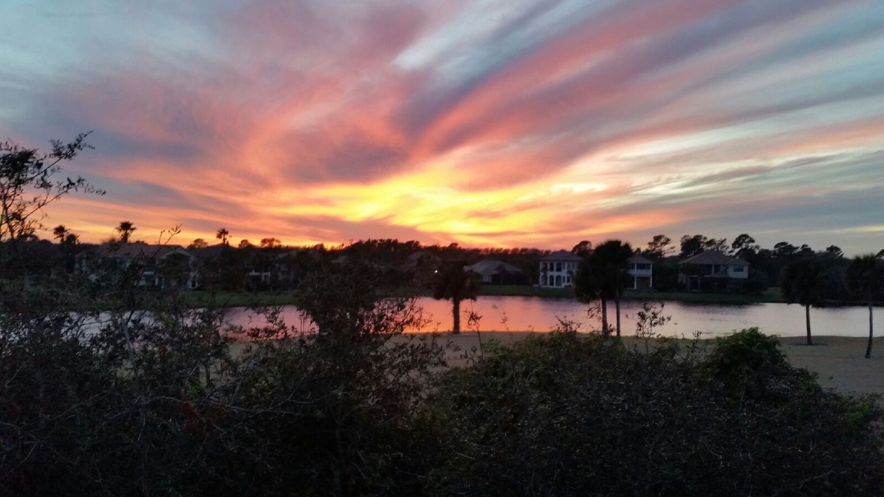 Photo of Outdoor in Palm Coast