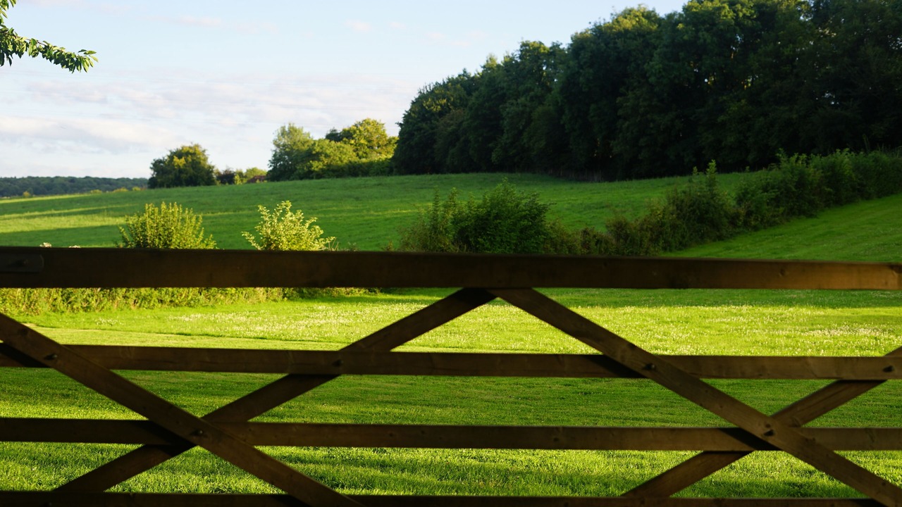Photo of Others in Chilham