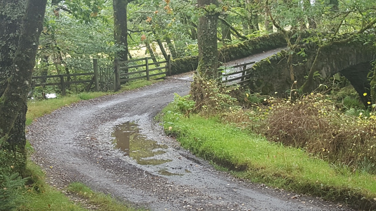 Photo of Outdoor in Saddell