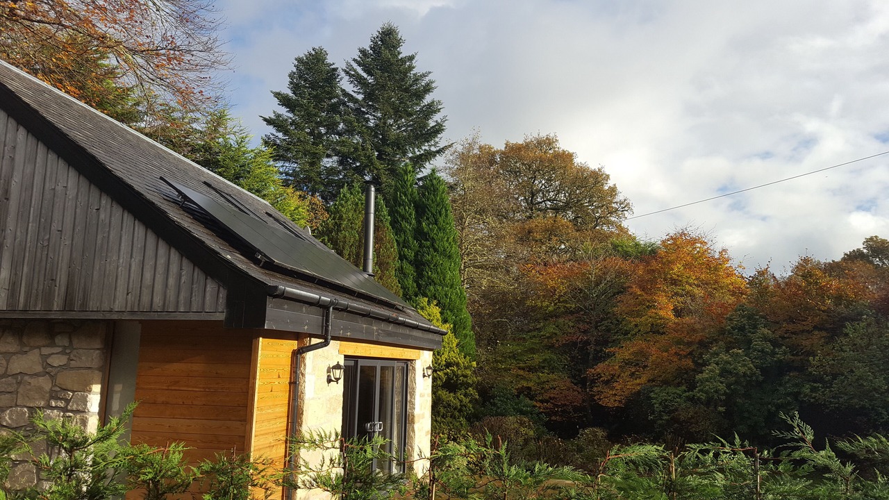 Photo of Outdoor in Saddell