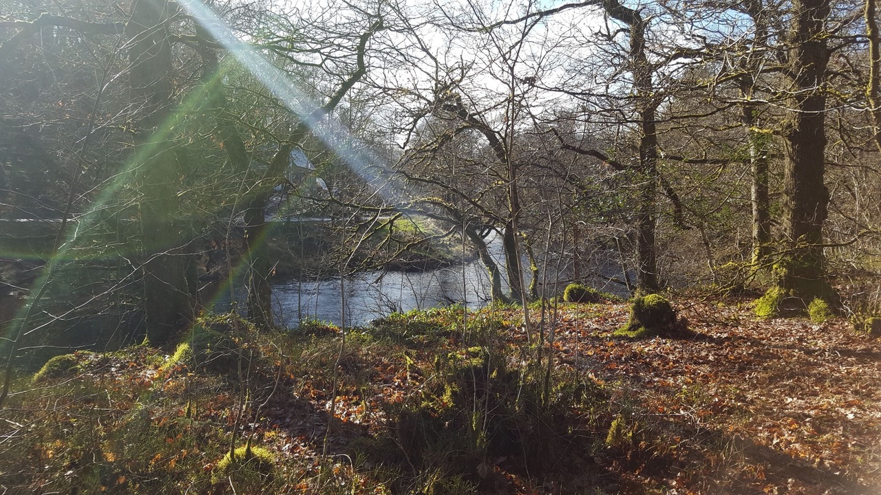 Photo of Outdoor in Saddell