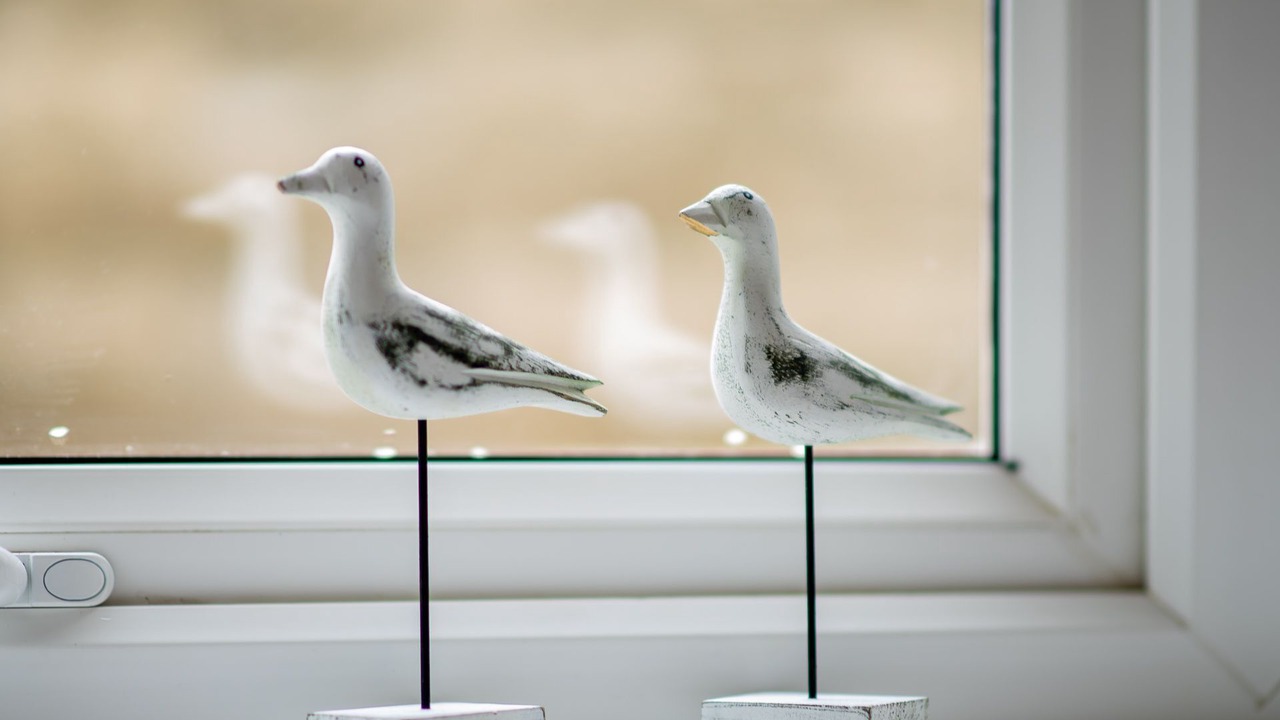 Photo of Others in Mortehoe
