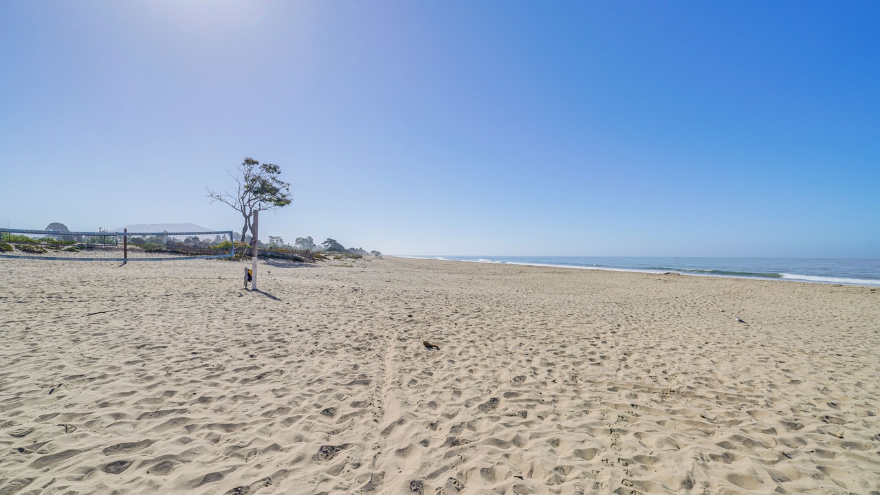 Photo of Others in Carpinteria