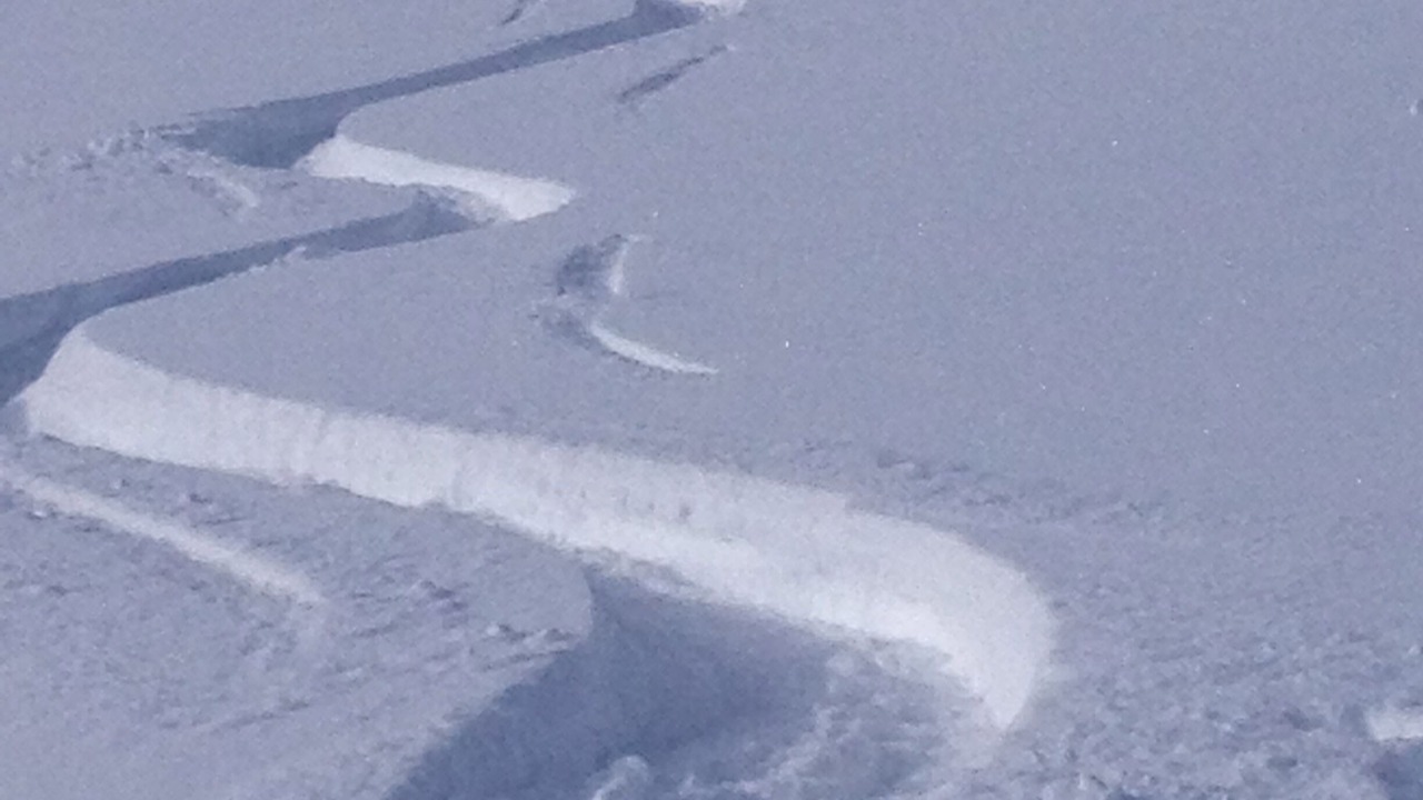 Photo of Outdoor in Les Avanchers-Valmorel