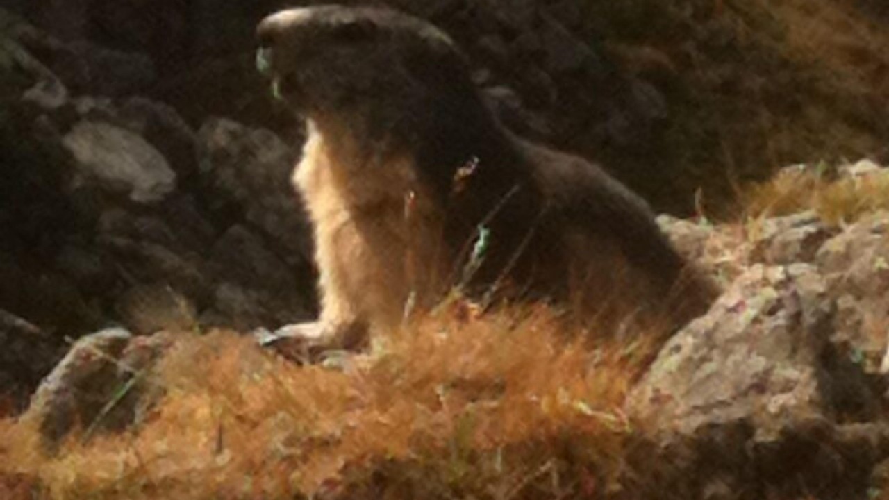 Photo of Outdoor in Les Avanchers-Valmorel