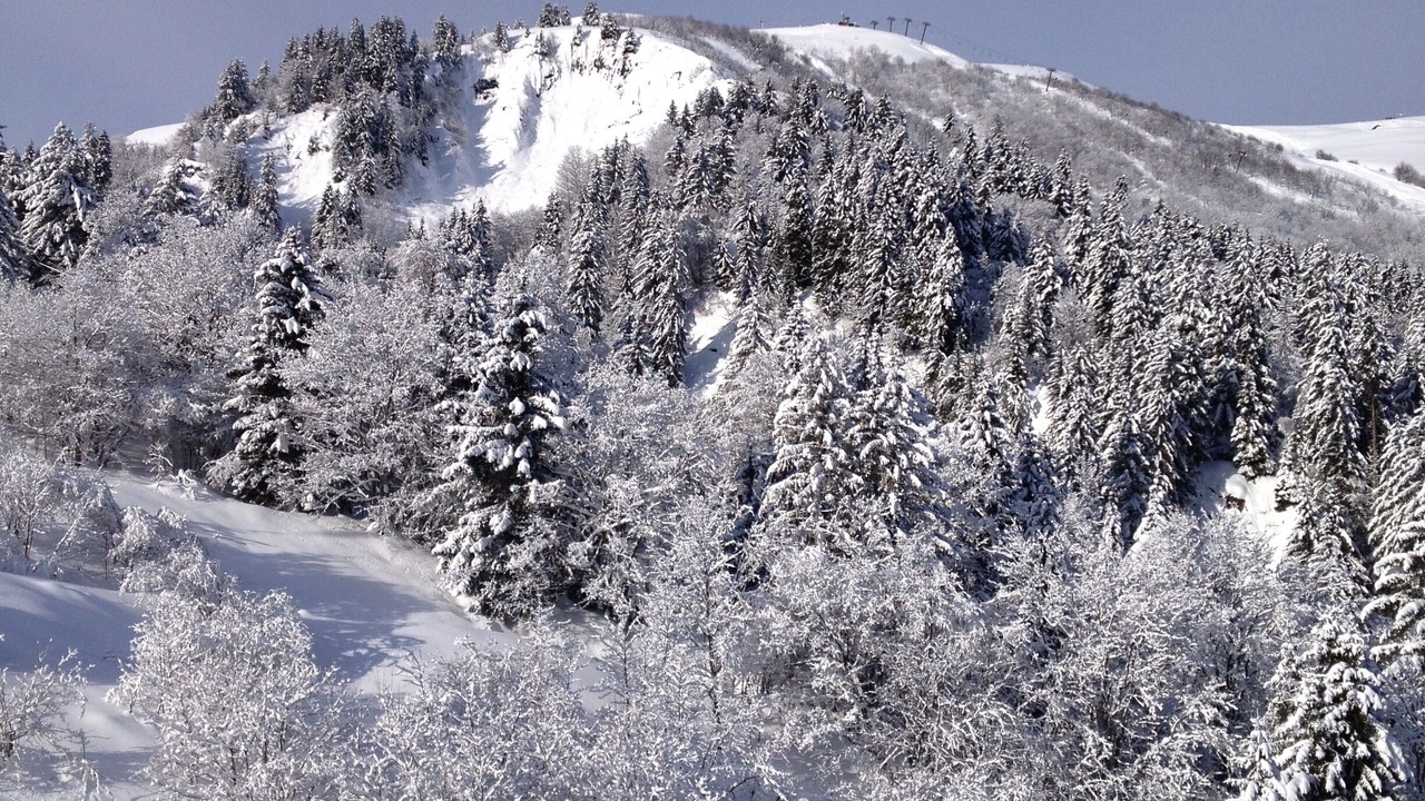 Photo of Others in Les Avanchers-Valmorel