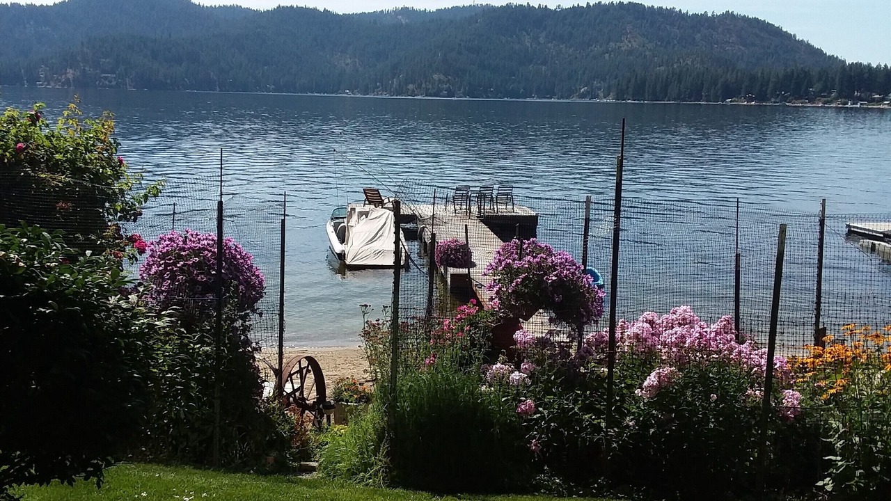Photo of Outdoor in Loon Lake