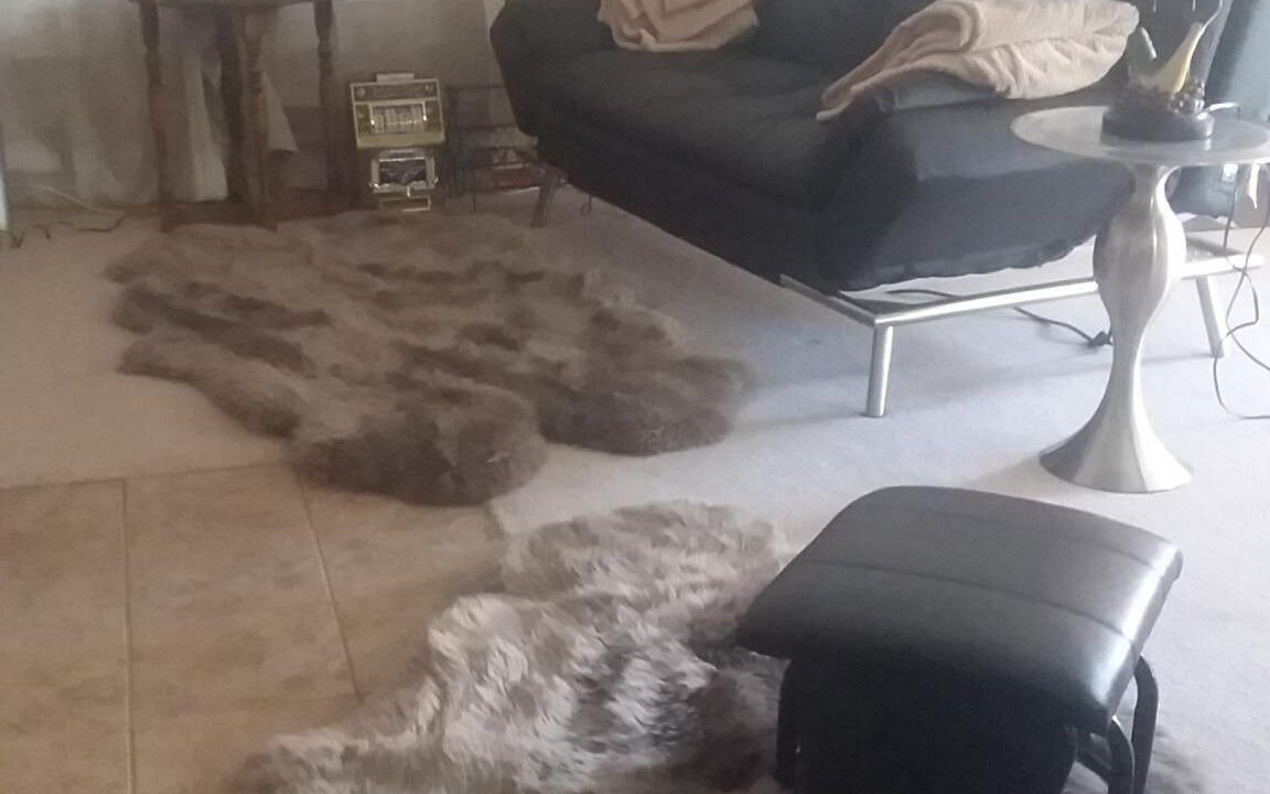 Photo of Livingroom in Loon Lake