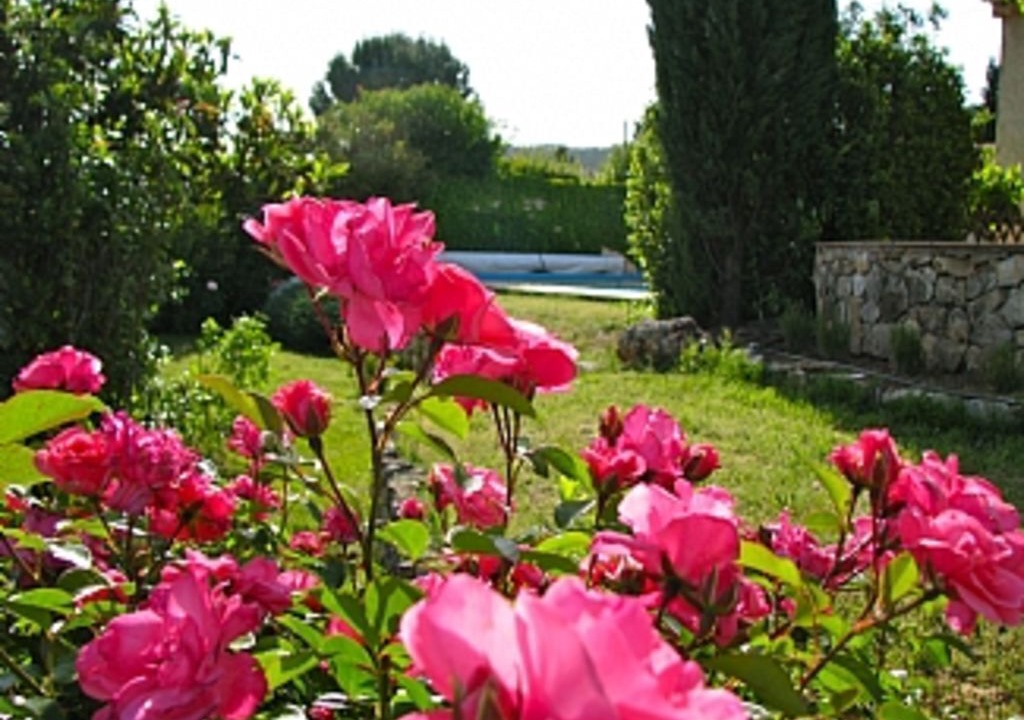 Photo of Others in Salernes